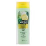 Shampoo - Dabur Vatika (200 Ml)